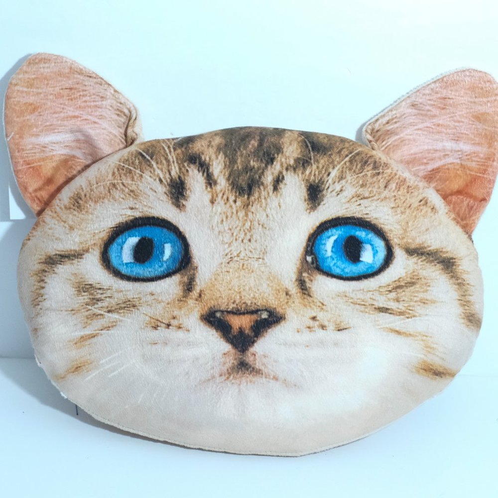 Cat pillow